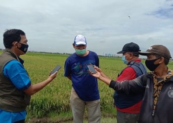 Panen Raya Kel. Rorotan Dihadiri Gubernur DKI