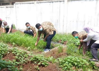 Wujudkan Penyandang Disabilitas Tangguh dan Mandiri, Kemensos RI Melatih PM Dengan Bercocok Tanam