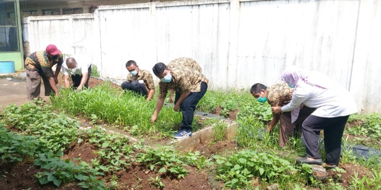 Wujudkan Penyandang Disabilitas Tangguh dan Mandiri, Kemensos RI Melatih PM Dengan Bercocok Tanam