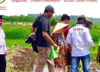 Polemik Impor Produk Pangan Koalisi Tengkulak, Petani Desak Jokowi Segera Bangun BIG DATA PANGAN NASIONAL
