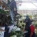 KPM Kota Batu Malang, Mengundurkan Diri dari Bansos PKH
