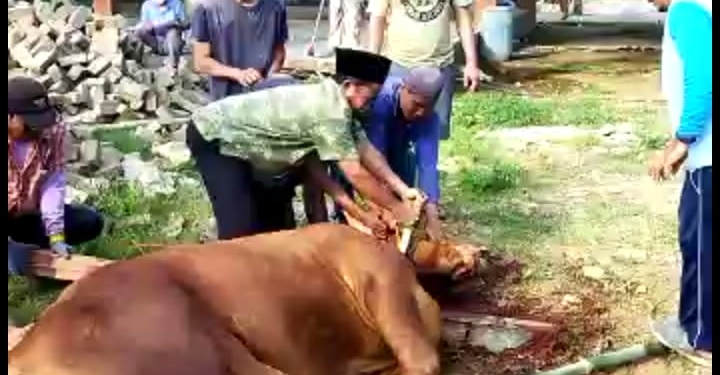 Petinggi Desa Gemulung Jepara Bagikan Daging Qurban di Hari Raya Idul Adha 1442 H / 2021