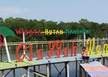 Wisata Glagah Wangi Jepara Eksotis dan Inspiratif di tengah Hutan Mangrove