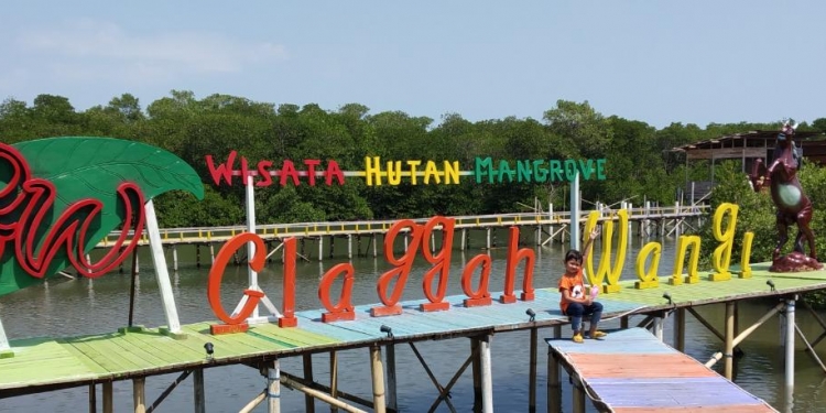 Wisata Glagah Wangi Jepara Eksotis dan Inspiratif di tengah Hutan Mangrove