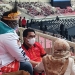 Tidak Tahu Ada Kericuhan Dalam Pertandingan Tinju Jateng Vs Papua, Ini Penjelasan Taj Yasin