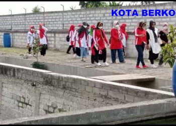 Gerakan PKK Ngemplak Boyolali Study Jamur Tiram – Tanaman Hias & Budidaya Ikan