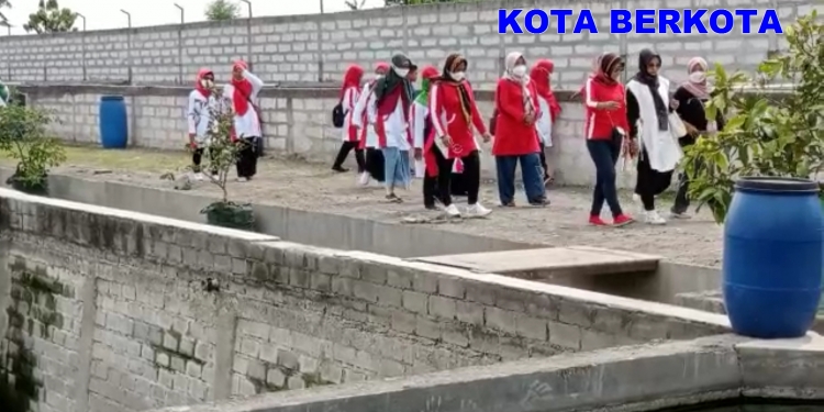 Gerakan PKK Ngemplak Boyolali Study Jamur Tiram – Tanaman Hias & Budidaya Ikan