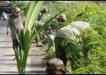 Linmas Desa Pandeyan Ngemplak Tanam Bibit Kelapa – Pisang & Jeruk di Sekitar Overpass Tol