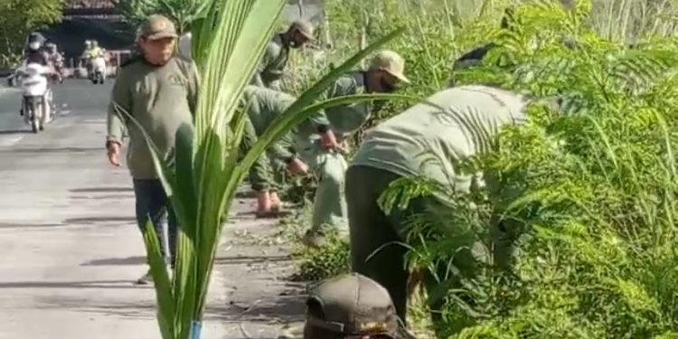 Linmas Desa Pandeyan Ngemplak Tanam Bibit Kelapa – Pisang & Jeruk di Sekitar Overpass Tol
