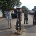 Ketua DPRD Jepara Tinjau Langsung Saluran Irigasi Ambrol di Jalan Nalumsari