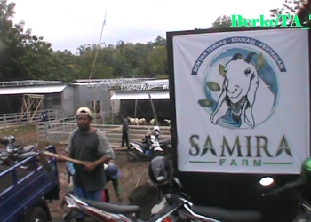 Samira Farm Karanganyar Gelorakan Ternak Kambing dan Domba Adakan Seminar Manajemen Peternakan