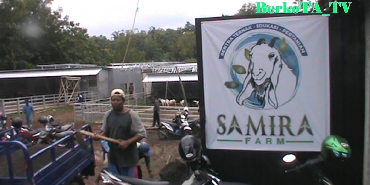 Samira Farm Karanganyar Gelorakan Ternak Kambing dan Domba Adakan Seminar Manajemen Peternakan
