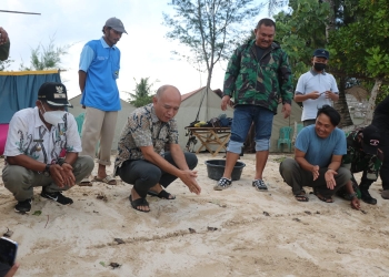 Kelestarian Penyu di Karimunjawa Mendapat Perhatian Khusus Bupati
