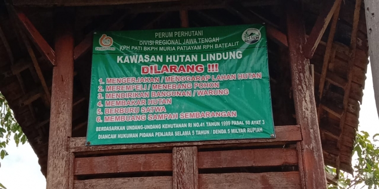 Alih Fungsi Hutan Lindung Menjadi Wisata, Dikeluhkan Warga Somosari Batealit
