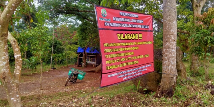KPH Pati Menutup Wisata Hutan Somosari Yang Ke 2 Kali