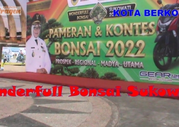 Wonderfull Bonsai Sukowati Ramaikan  Hari Jadi Sragen