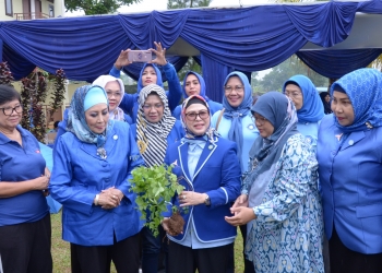 Rayakan HUT Partai Demokrat, Puteri Wapres Kampanye Budidaya Bunga Telang