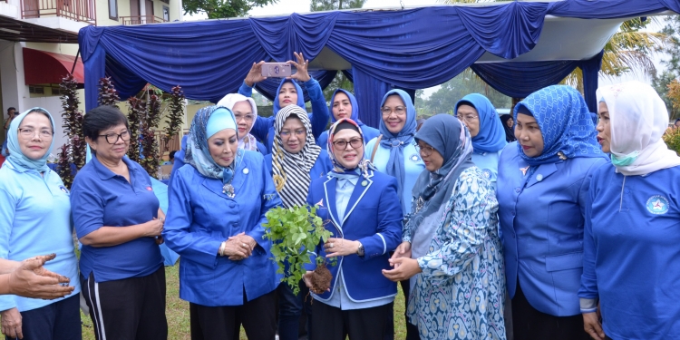 Rayakan HUT Partai Demokrat, Puteri Wapres Kampanye Budidaya Bunga Telang