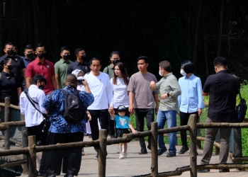 Wisata Solo Safari Didatangi Jokowi Lihat Progres Pembangunannya