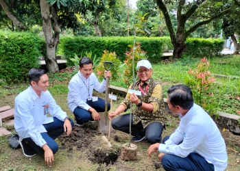 Tanam Puluhan Pohon Produktif, PLN Turut Lestarikan Alam