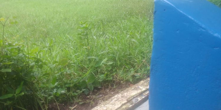 Ahli Waris di Jepara Gusar, Tanah Wakafnya di Kapling Perumahan