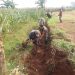 Sukseskan Program Ketahanan Pangan, Babinsa Keling Bersama Petani Bangun Saluran Irigasi