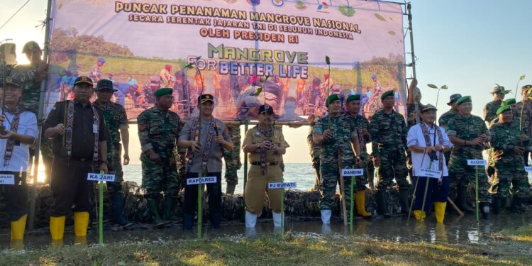 Kodim 0719 Jepara Tanam Mangrove di Pantai Bulakbaru