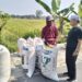 Umar Hasyim Ikut Cocok Tanam Bareng Petani di Lemah Ireng Kaligawe Pedan Klaten, Kenali Detail Problem Pertanian