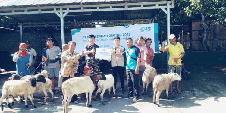YBM PLN UP 3 Surakarta Tebar Berkah Daging Di Hari Idul Adha