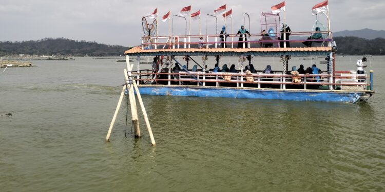 Prihatin ,  Petani Bayat Terancam Puso ,  Berharap Dapat Pengairan Dari Rowo Jombor
