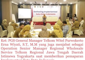 SINERGISITAS DALAM TRANSFORMASI DIGITAL MELALUI SATU DATA INDONESIA