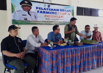Urban Farming Jadi Program Unggulan Kalimulya
