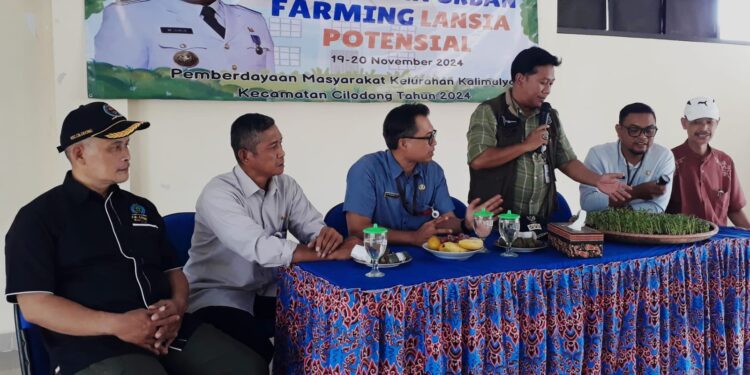 Urban Farming Jadi Program Unggulan Kalimulya