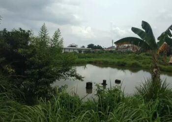 Semua Pembayaran Telah Diselesaikan Sesuai Prosedur