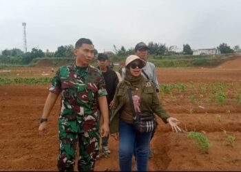 Jalin Sinergitas, Wartawan Depok Gandeng Kodim 0508 Dalam Ketahanan Pangan Nasional