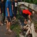 Memperingati Hari Ulang Tahun (HUT) ke-26 Kota Depok, RW 015 Kemiri Muka Gelar Aksi Bersih-Bersih