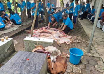 Dalam Rangka Idul Adha 1446 H, BPN Kota Depok Kurban 2 Sapi dan 3 Kambing