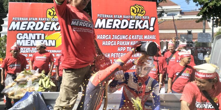 Minta Copot Menteri Pertanian Bila Tak Bisa Atasi Harga Jagung , Demo Peternak Solo Raya Diwarnai Mandi Jagung