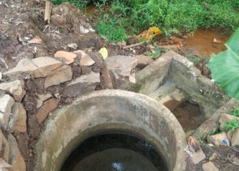 Mata Air DI Depok, Harta Karun yang Terlupakan?