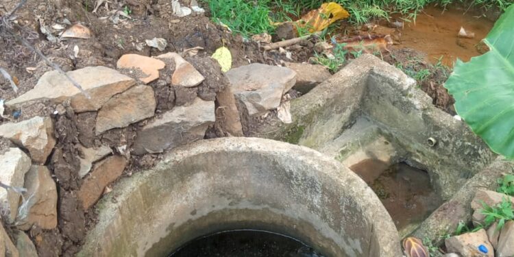 Mata Air DI Depok, Harta Karun yang Terlupakan?