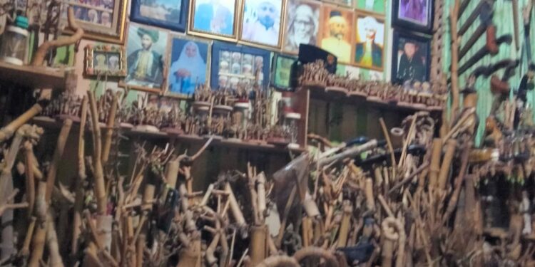 Ahmad AB Warga Pondok Labu Jaksel Koleksi Ratusan Jenis Bambu Unik Semua Ada Filosofinya