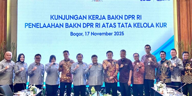 BRI Region 7/Jakarta 2 Bersama BAKN DPR RI Perkuat Tata Kelola Kredit Usaha Rakyat*