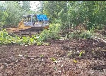 Menuju Munas SWI 2026, Tanam Tebu Jadi Ikon Gerakan Ekonomi Hijau di Madiun