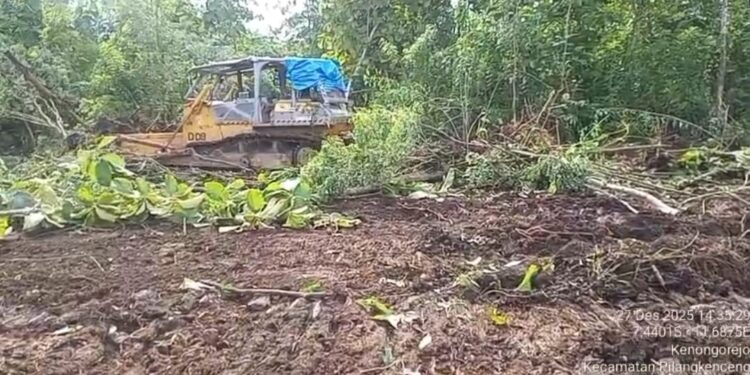 Menuju Munas SWI 2026, Tanam Tebu Jadi Ikon Gerakan Ekonomi Hijau di Madiun